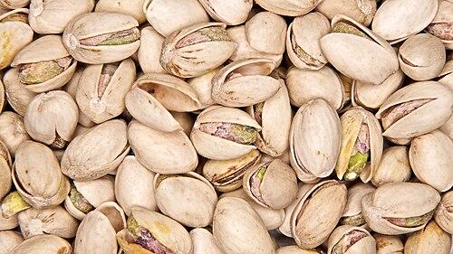Pistachio, Torbat-e Heydarieh, Razavi Khorasan, Iran