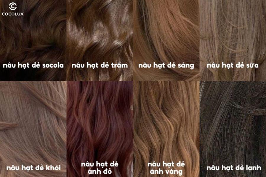 ​​​​​Màu tóc nâu hạt dẻ nhẹ nhàng, tôn da, phù hợp với nhiều phong cách và tone da người châu Á